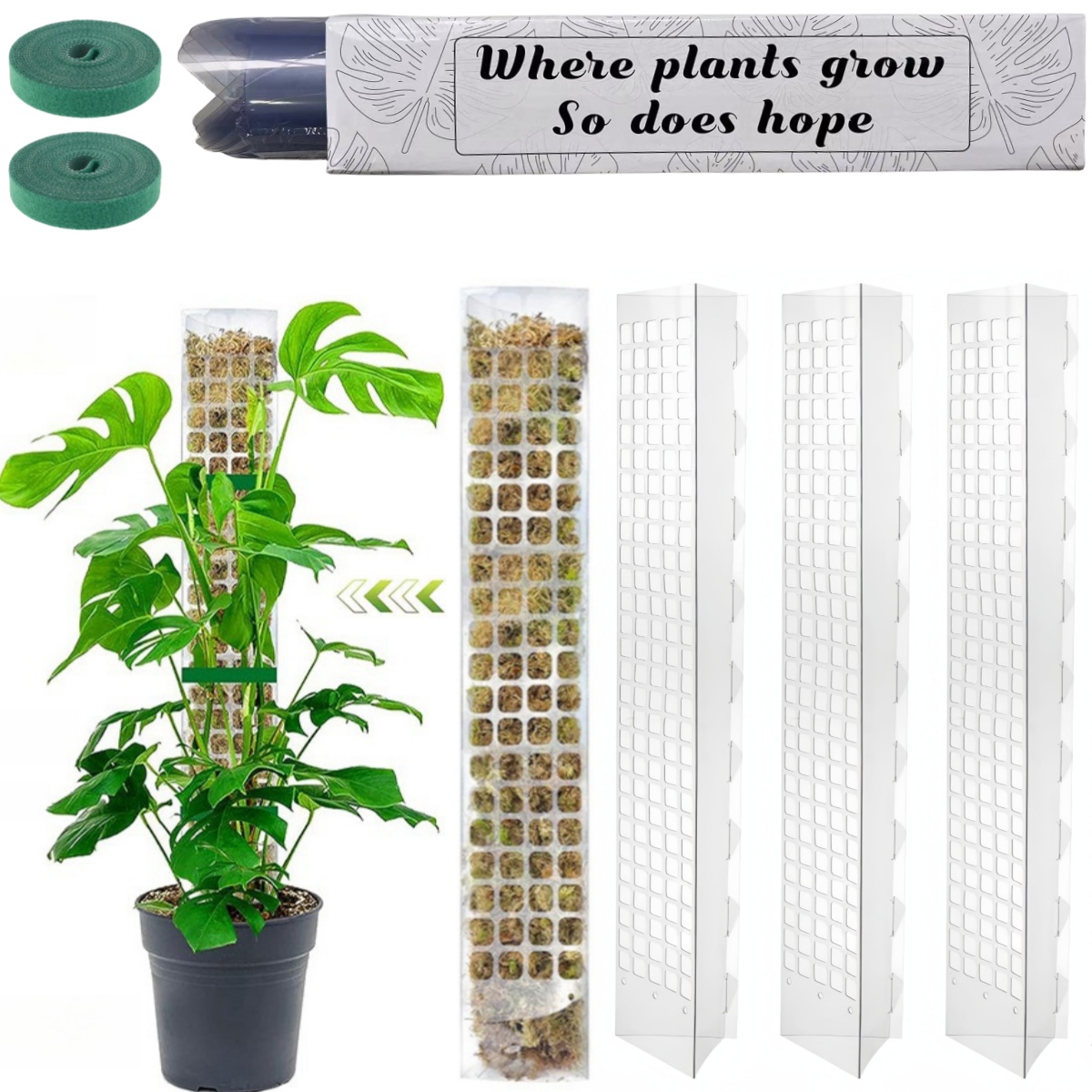 Sphagnum Moss Dry - Support de plantes en plastique, poteau