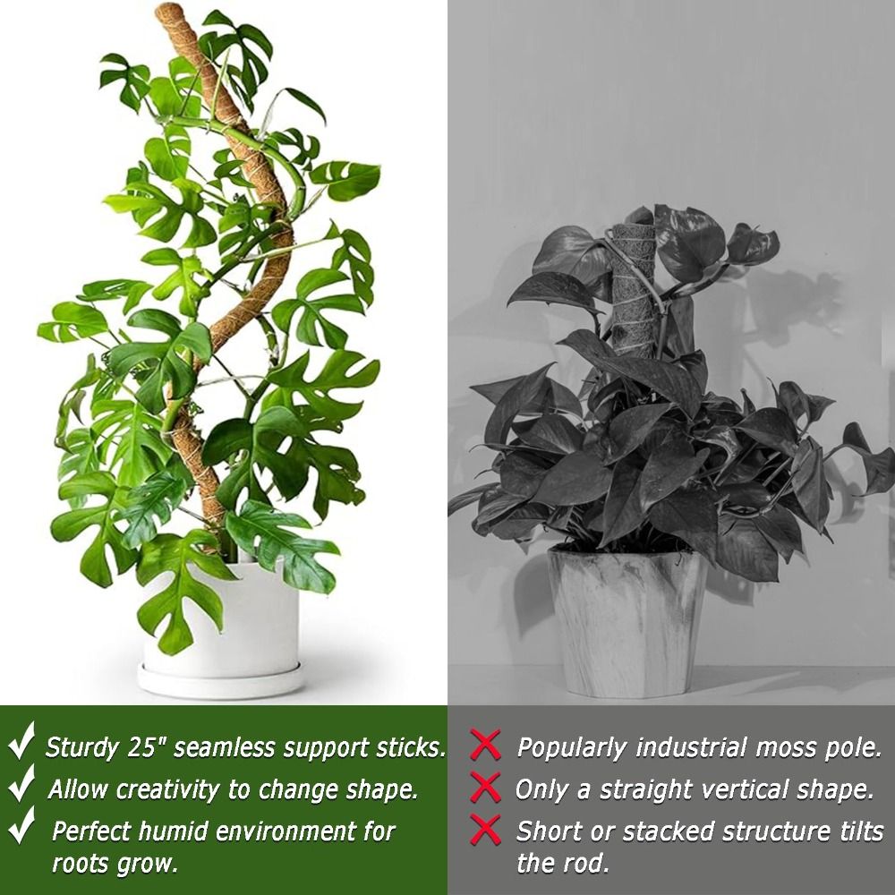 Support de plante flexible en  - Sphagnum Moss Dry avis et prix