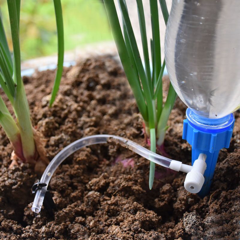 Système d'arrosage automatique - Self Watering Insert avis et prix