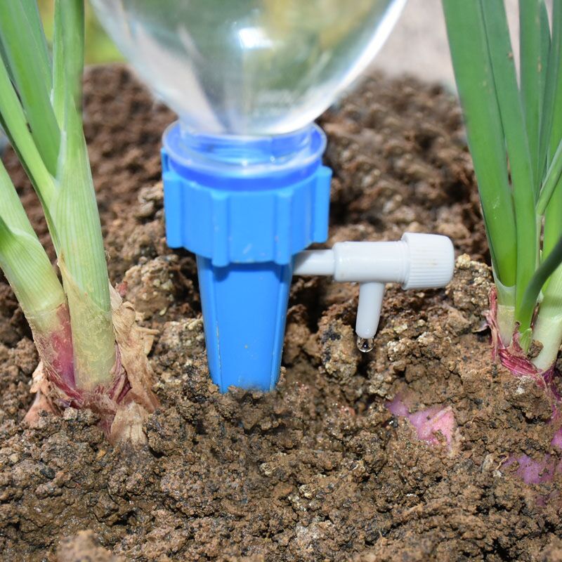 Système d'arrosage automatique - Self Watering Insert avis et prix