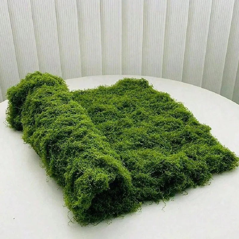 Mousse artificielle pour la dé - Sphagnum Moss Dry avis et prix